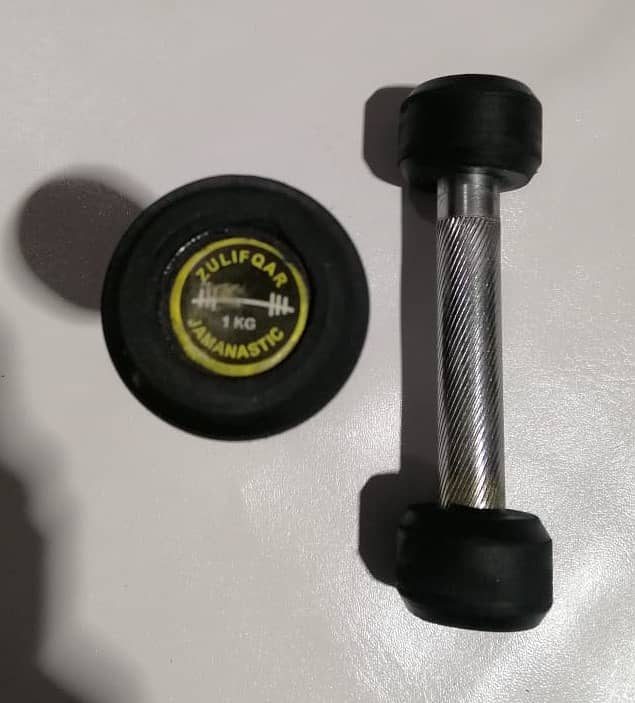 Rubber Coated Dumbbells 250 per kg 10