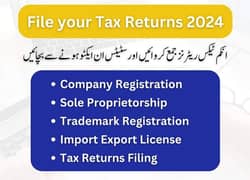 Become Filer (Tax Consultancy)