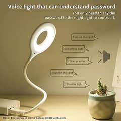 Smart Voice Control Usb Light