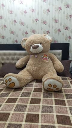 Big size Teddy bear