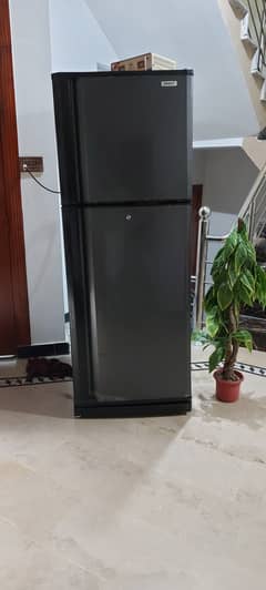 Orient jumbo size refrigerator