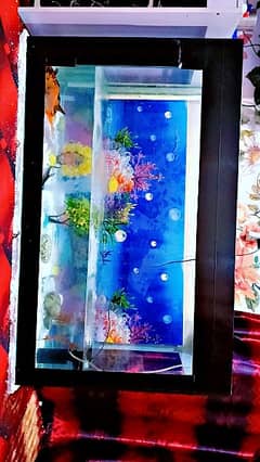 fish aquarium for sale new condition 12mm Glass size 4 fit leanth 2.5