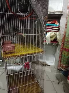 double partsoin cage for sale