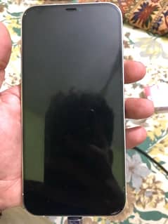 i phone 12 pro max pta approved