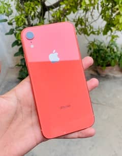 iPhone xr 256gb non pta jv fresh all ok 10/10 0