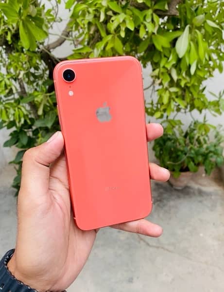 iPhone xr 256gb non pta jv fresh all ok 10/10 1