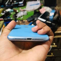 iPhone XR non pta all ok