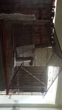 love. birdz cage iron