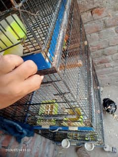 lovebrids 4 portions cage for sale every thing ok  03224270351