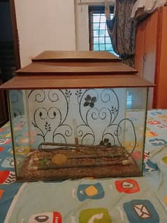 2ft Fish aquarium for urgent sale