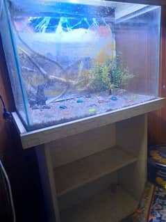 Fish Aquarium for Sale with stand