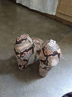 Borjan Branded sandals