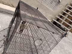 birds   folding cage well condition parrots cage