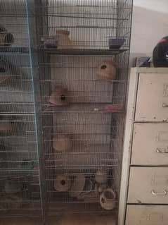 4 portion Bird Cage