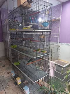 Black Folding Cage Available for Slae