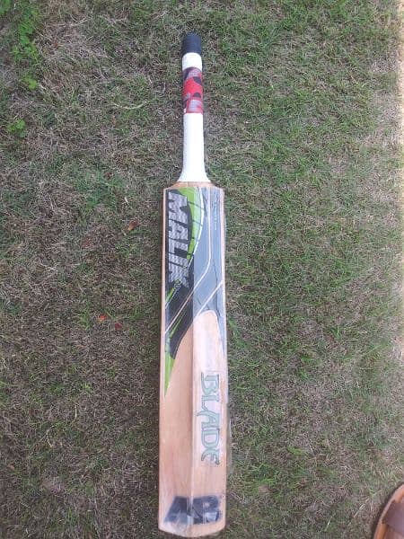 Hard Ball Bat 1