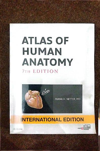 Original Netter's Atlas of Human Anatomy 0