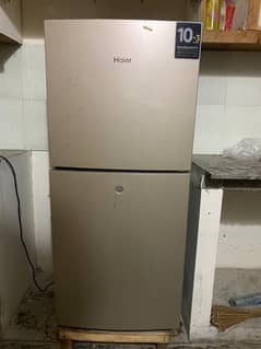 Haier HRF-216EBD E-Star Serious Refrigerator Freezer Golden