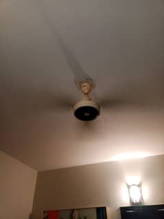 SK magnum ceiling fan