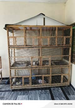 Birds Cage 7x5, 9 portions