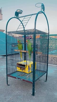 most strong cage for Raw parrots
