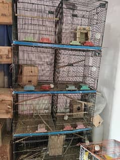 8 Portion Parrot Cage.