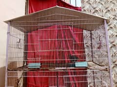 birds and hens cock cage for sale