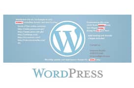 Wordpress and Full Stack Websites