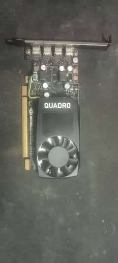 Nvidia Quadro P600 (Read Ad)