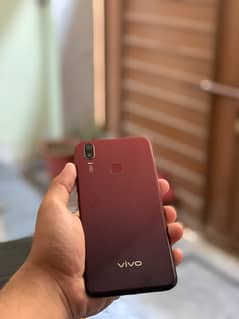 Vivo