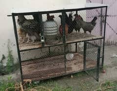 Hen cage