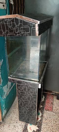 Fish Aquarium