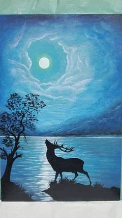 STAG in the moon litnight