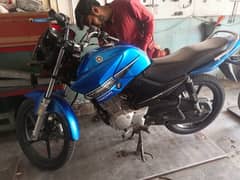 Yamaha YBR 125cc Blue