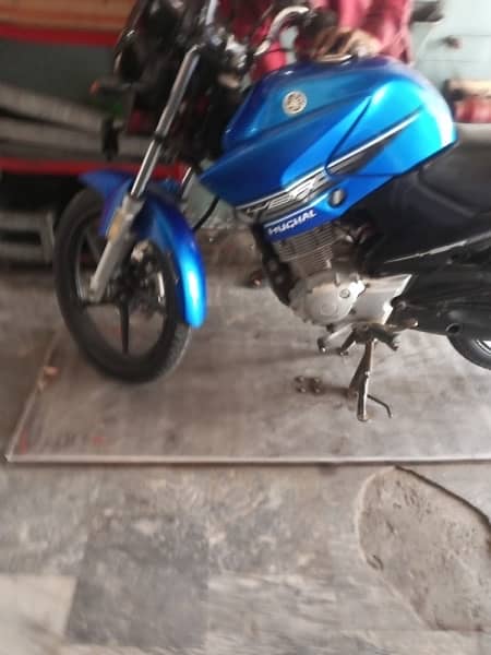 Yamaha YBR 125cc Blue 5