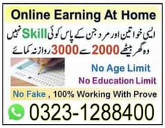 Online Jobs Offers/Data entry/Copy Paste/Assugnment Work/Typing Job
