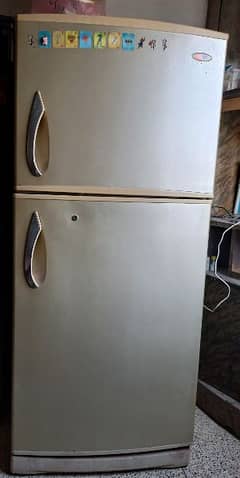 SG Refrigerator