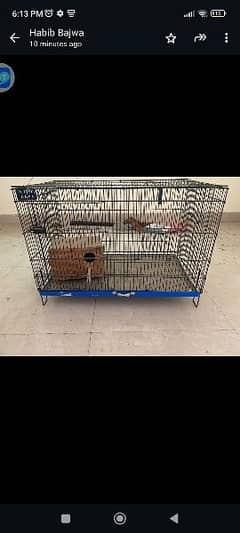 brids cage for sell new ha abi Etna use ni howa