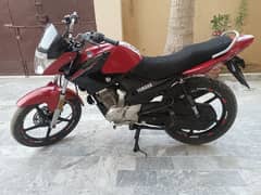 yamaha ybr 125 2020 red colour for sale urgent