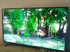 Imported LED TV 50 Inch - Chance deal