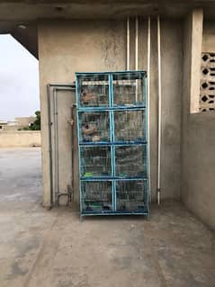Birds Cage For Sale | Pinjra | Cage For Birds | Large Size Cage