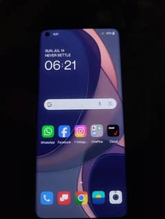 OnePlus 8 PTA Approved