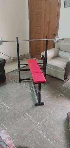 GYM adjustable bench and dumbbells with weights (22 KG)