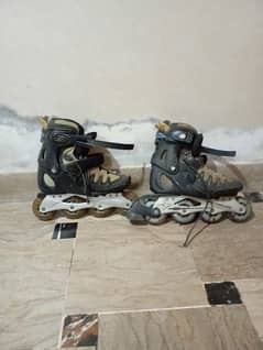 Skates