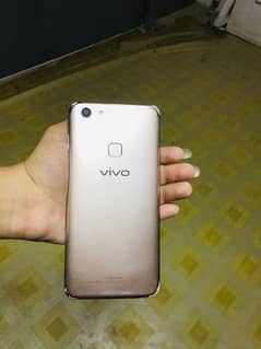 vivo