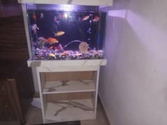 fish aquarium for urgent sale