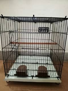 New condition  folding cage with bird