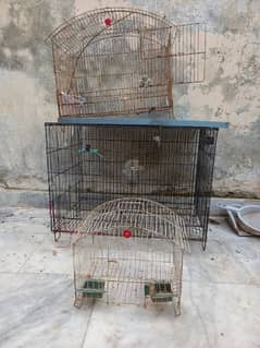 foldable cage available almost new