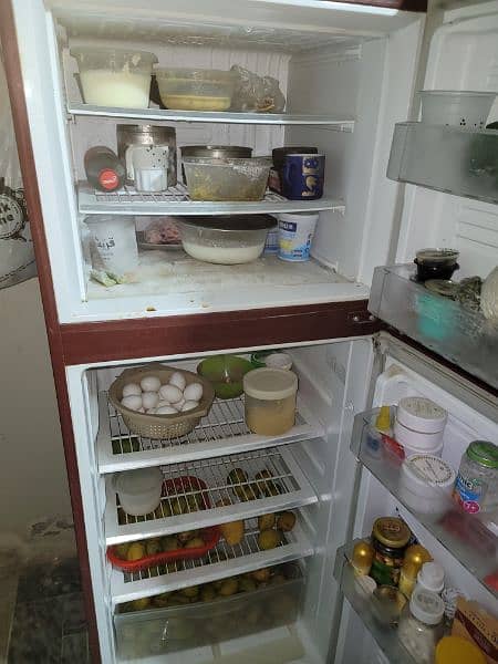 Pel Refrigerator 1