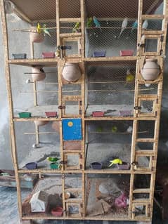 budgies breeding cage